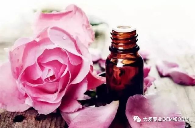 精油中的“奥斯卡”,你在看颁奖典礼了吗?(图31)