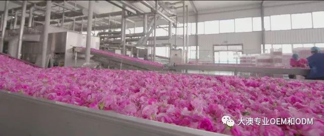 精油中的“奥斯卡”,你在看颁奖典礼了吗?(图26)