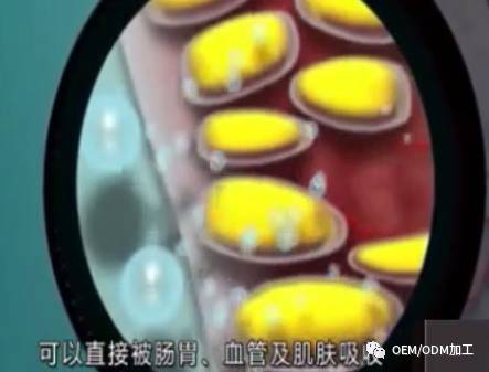 七天就见效的化妆品,有吗?(图11)