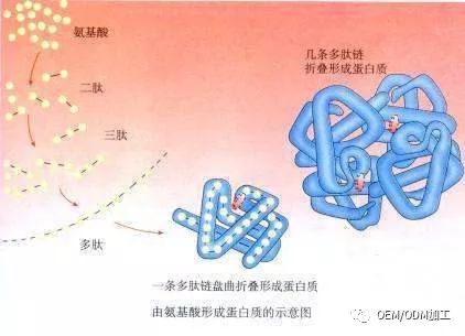 七天就见效的化妆品,有吗?(图5)
