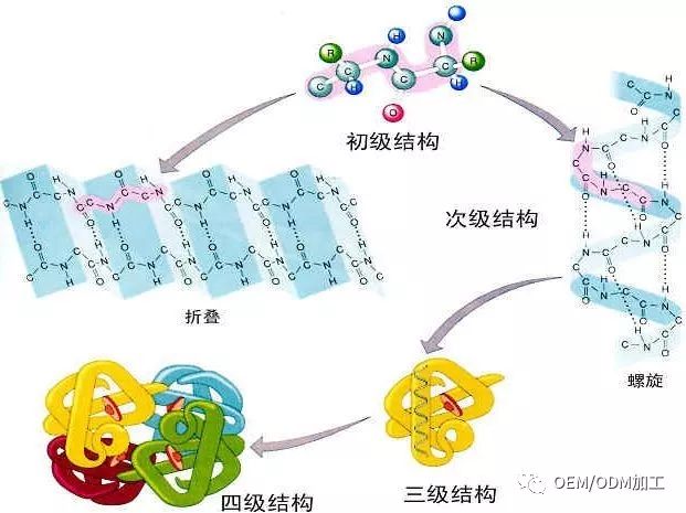 七天就见效的化妆品,有吗?(图4)
