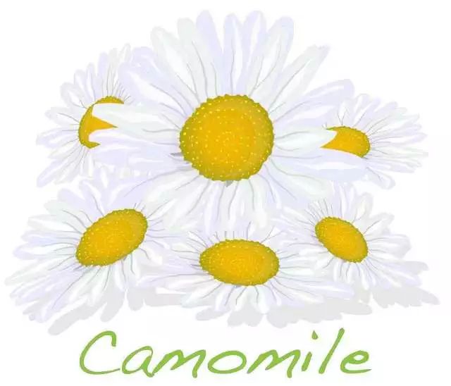 “神花”舒敏之最|2018宠你而来(图1)