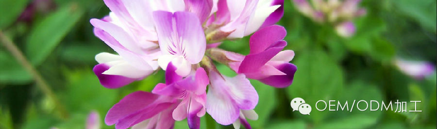 【调查数据】化妆品中最受欢迎的成份有哪些(图2)