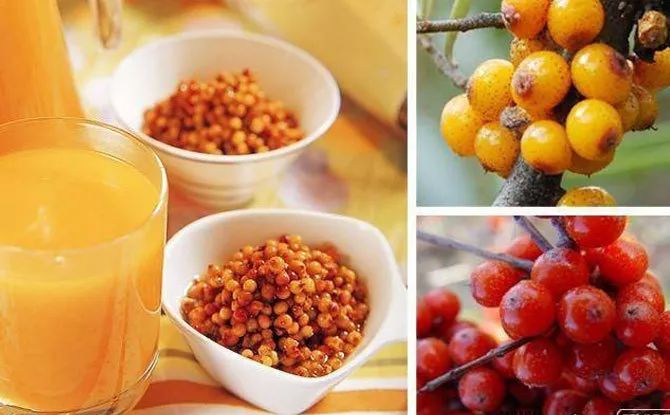 沙棘植物力量来袭,美白、抗衰、祛痘……(图4)