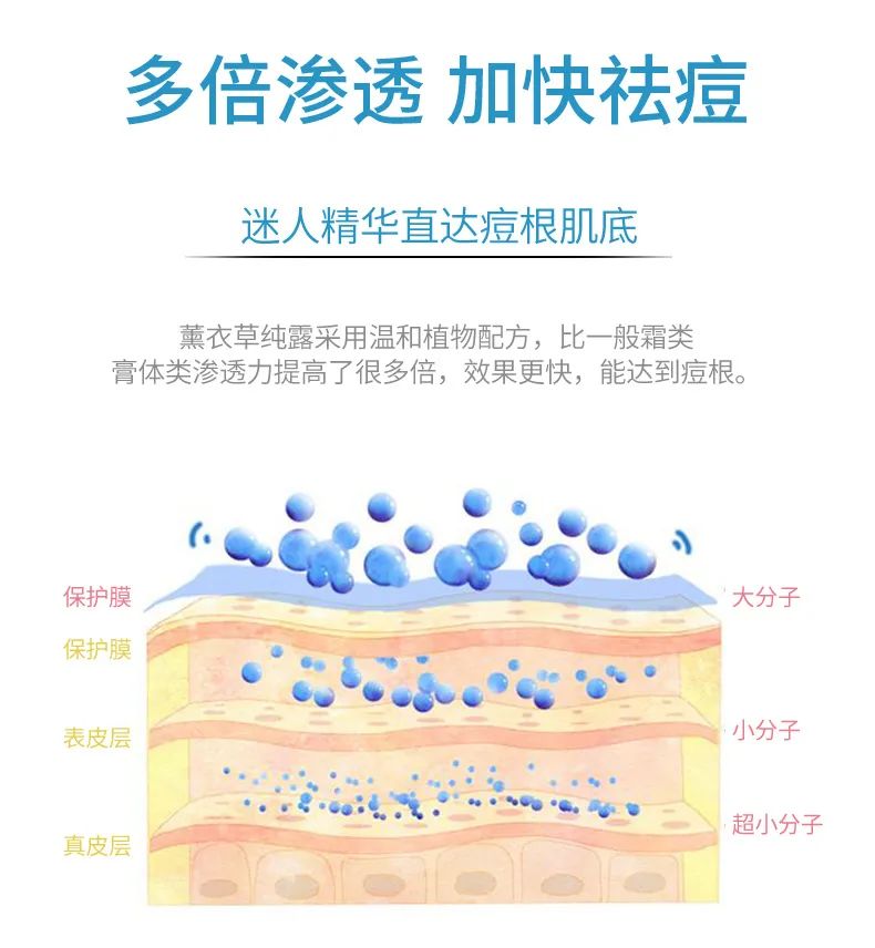 详情_03.jpg 图片