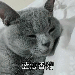 植树® |薰衣草纯露 战痘终结者(图2) 图片