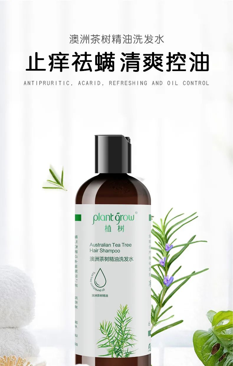 澳洲茶树精油洗发水_01.jpg 图片