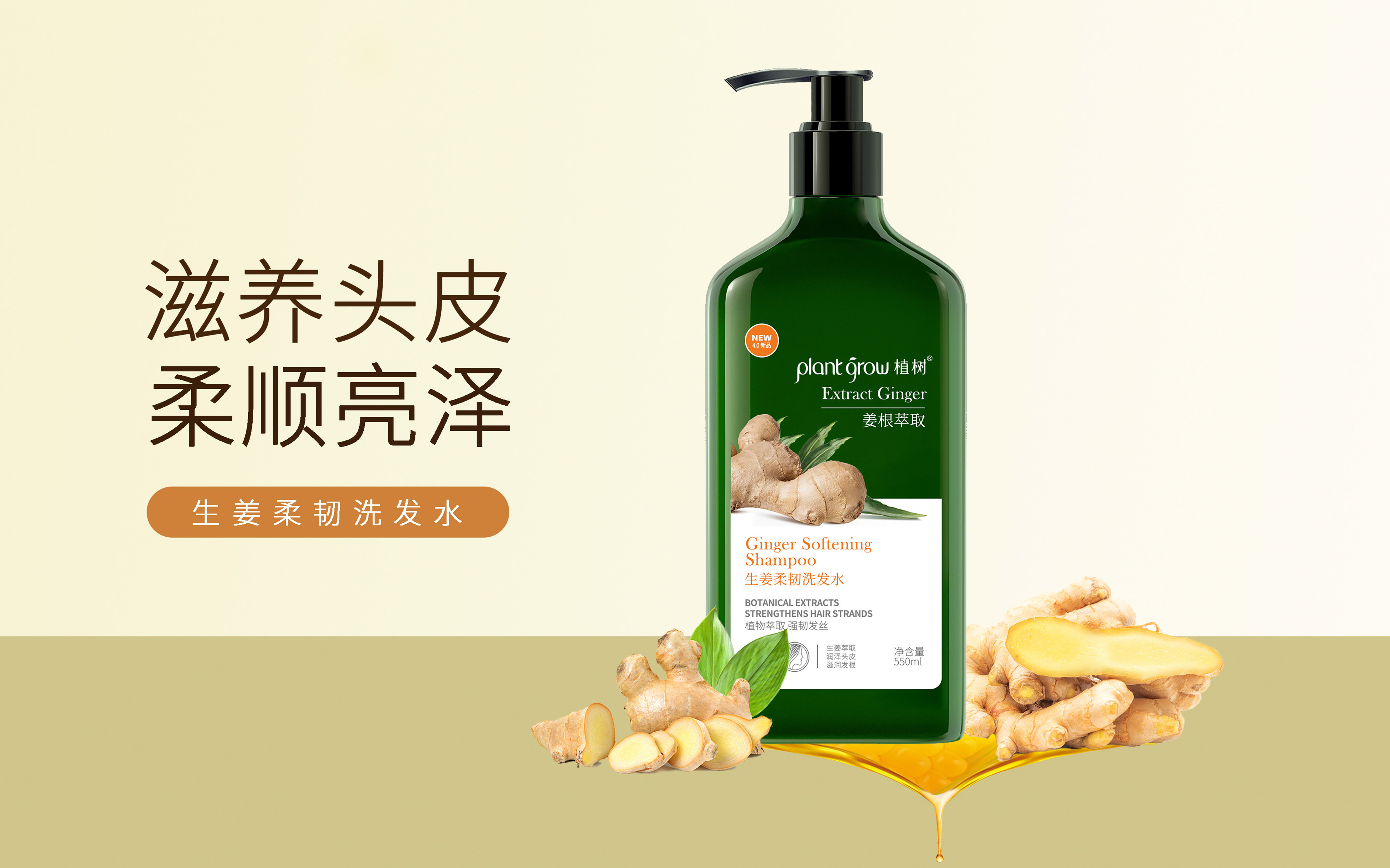生姜柔润发丝洗发水