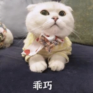 植树® | 鱼子酱+神经酰胺身体乳 赋活香氛少女嫩滑肌(图8) 图片