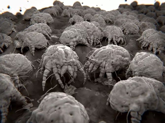 听说皮肤有螨虫?别怕,性价比巨高的神仙洗面奶,带你创造牛奶嫩肌!(图11) 图片