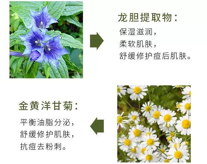 11.jpg 图片