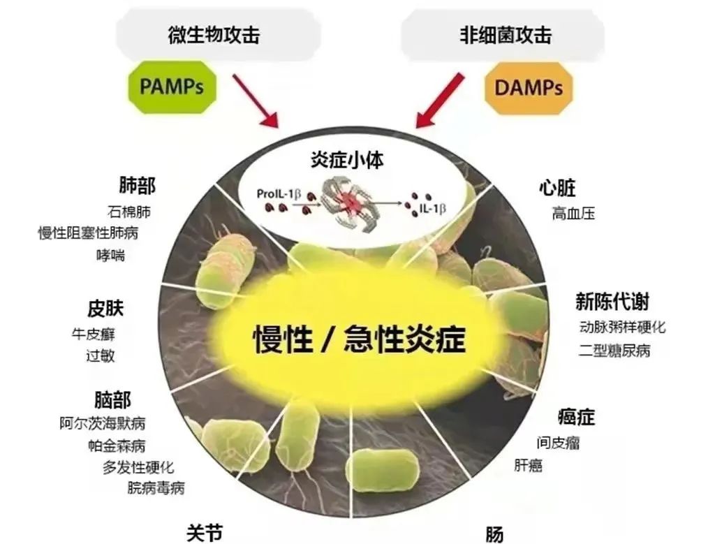 细胞专刊丨疾病的罪魁祸首，干细胞有效减轻炎症反应(图2)